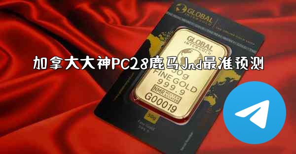 加拿大大神PC28鹿马Jnd最准预测
