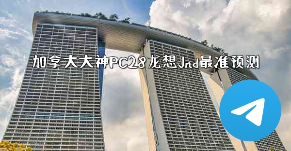 加拿大大神PC28龙想Jnd最准预测