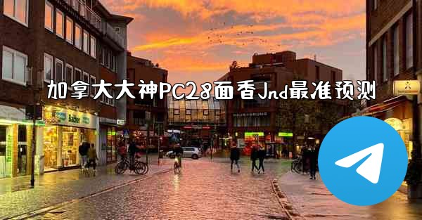 加拿大大神PC28面香Jnd最准预测