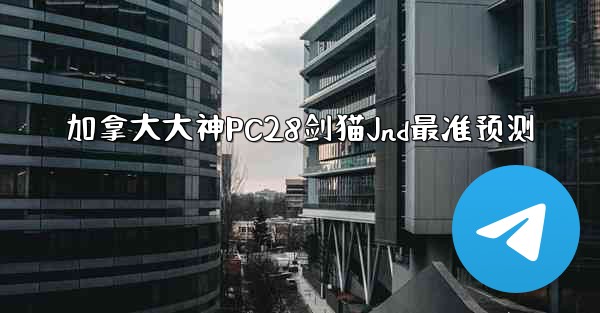加拿大大神PC28剑猫Jnd最准预测