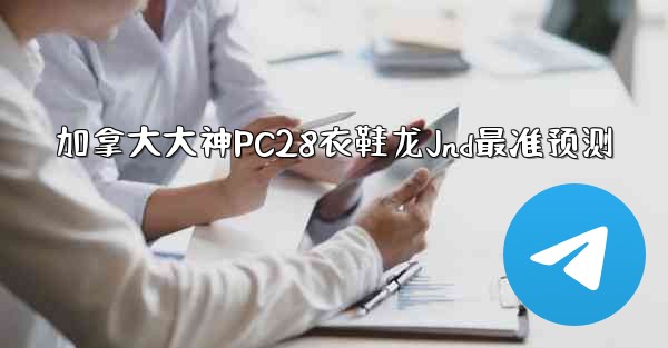 加拿大大神PC28衣鞋龙Jnd最准预测