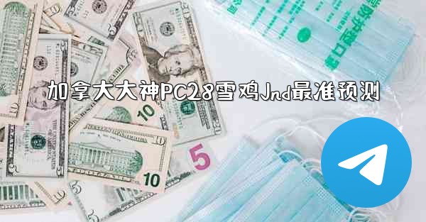 加拿大大神PC28雪鸡Jnd最准预测