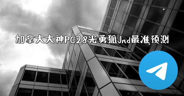 加拿大大神PC28光勇狐Jnd最准预测