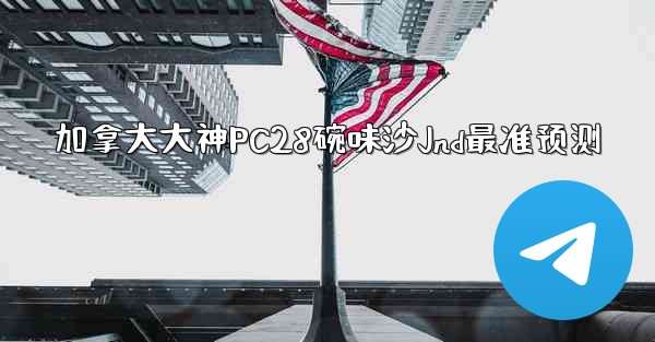 加拿大大神PC28碗味沙Jnd最准预测