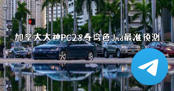 加拿大大神PC28寿鸟色Jnd最准预测