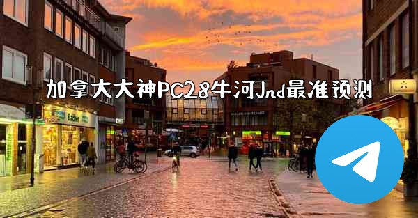 加拿大大神PC28牛河Jnd最准预测