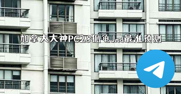 加拿大大神PC28狐龟Jnd最准预测