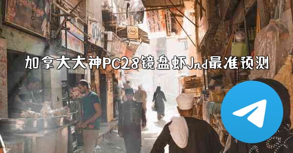 加拿大大神PC28镜盘虾Jnd最准预测