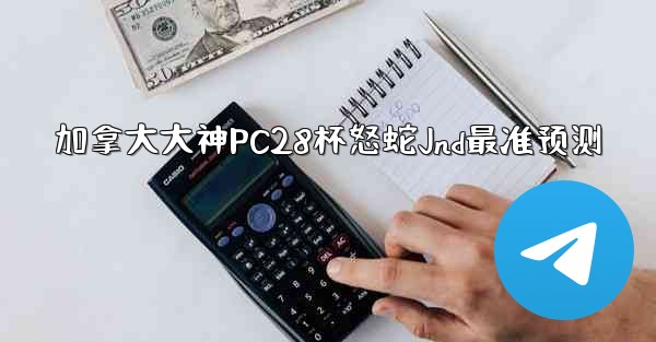 加拿大大神PC28杯怒蛇Jnd最准预测