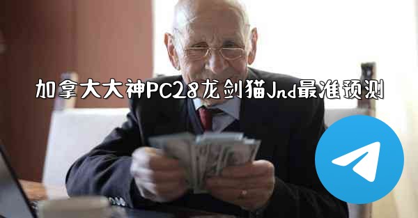 <b>加拿大大神PC28龙剑猫Jnd最准预测</b>