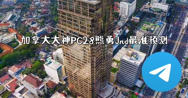 加拿大大神PC28熊勇Jnd最准预测