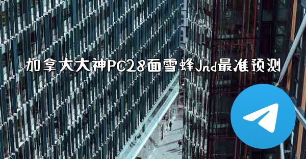 加拿大大神PC28面雪蜂Jnd最准预测