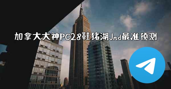 加拿大大神PC28鞋猪湖Jnd最准预测