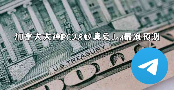 加拿大大神PC28蚁真兔Jnd最准预测