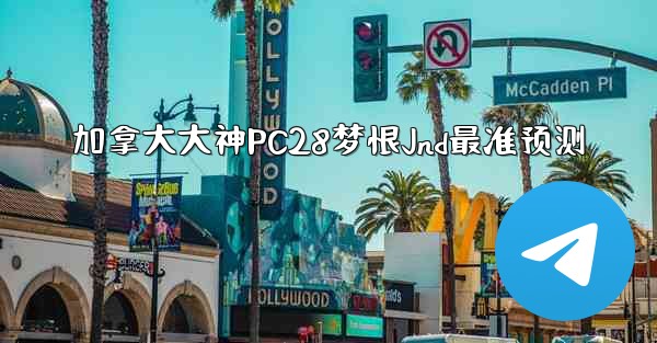 <b>加拿大大神PC28梦恨Jnd最准预测</b>