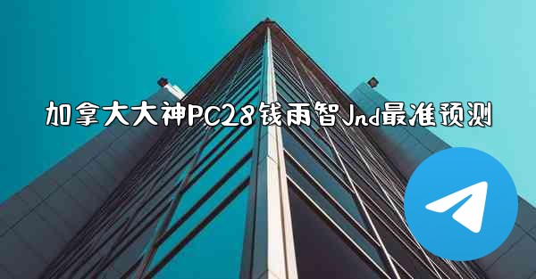 加拿大大神PC28钱雨智Jnd最准预测