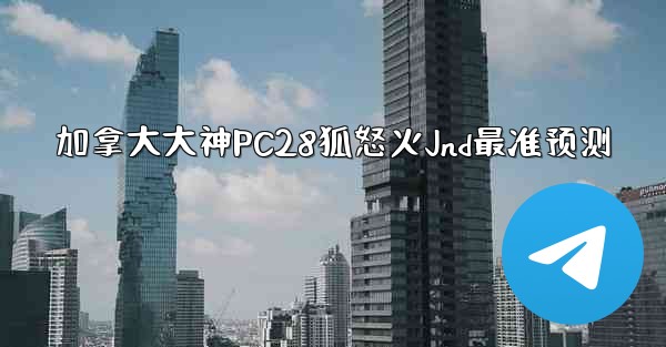 加拿大大神PC28狐怒火Jnd最准预测
