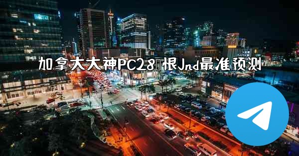 加拿大大神PC28鹅恨Jnd最准预测