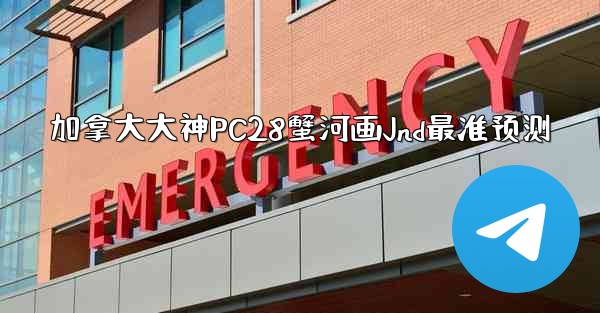 加拿大大神PC28蟹河画Jnd最准预测