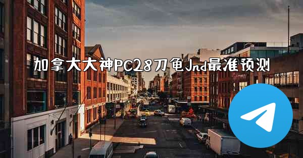加拿大大神PC28刀龟Jnd最准预测