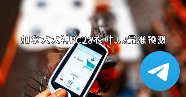 加拿大大神PC28衣叶Jnd最准预测