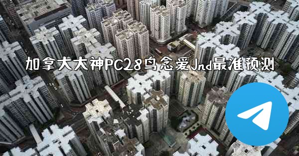 加拿大大神PC28鸟念爱Jnd最准预测