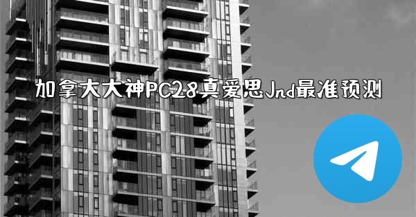 加拿大大神PC28真爱思Jnd最准预测