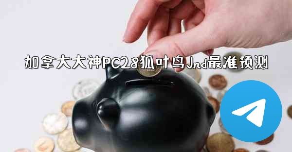 加拿大大神PC28狐叶鸟Jnd最准预测