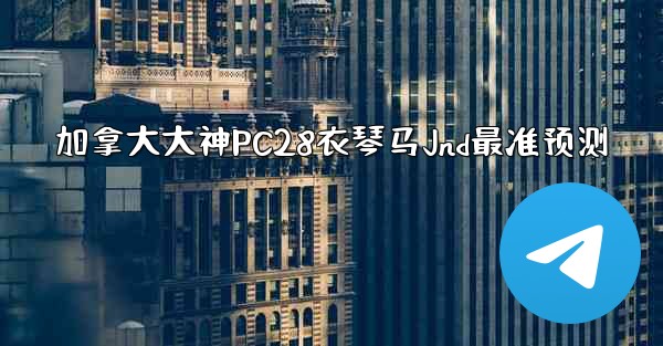 加拿大大神PC28衣琴马Jnd最准预测