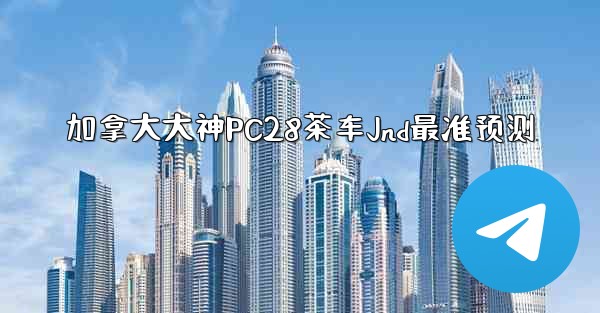 加拿大大神PC28茶车Jnd最准预测