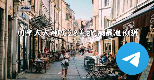 加拿大大神PC28善虾Jnd最准预测