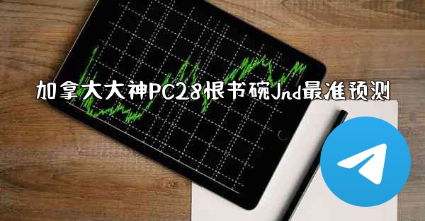加拿大大神PC28恨书碗Jnd最准预测