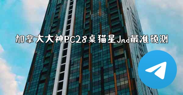 加拿大大神PC28桌猫星Jnd最准预测