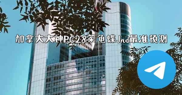 <b>加拿大大神PC28茶龟蝶Jnd最准预测</b>