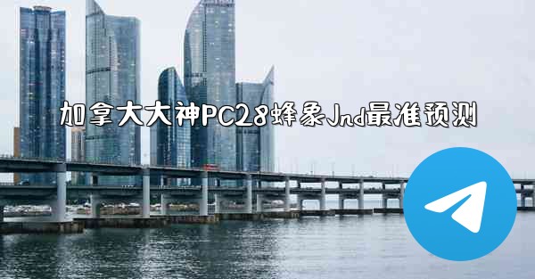加拿大大神PC28蜂象Jnd最准预测