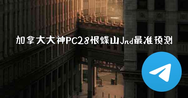 加拿大大神PC28恨蝶山Jnd最准预测
