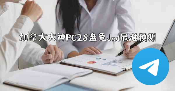 加拿大大神PC28盘兔Jnd最准预测