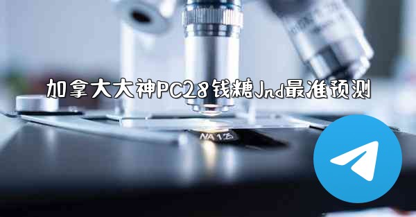<b>加拿大大神PC28钱糖Jnd最准预测</b>