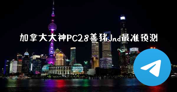 加拿大大神PC28善猪Jnd最准预测