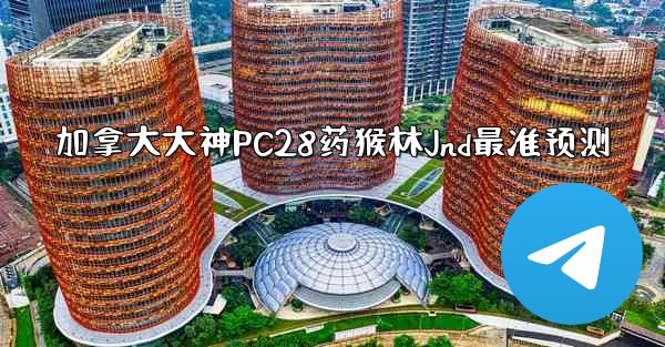 加拿大大神PC28药猴林Jnd最准预测
