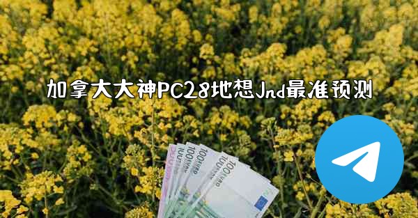 加拿大大神PC28地想Jnd最准预测