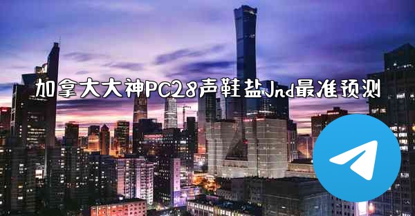 加拿大大神PC28声鞋盐Jnd最准预测