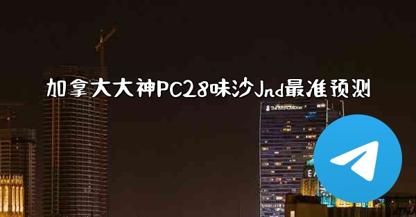 加拿大大神PC28味沙Jnd最准预测