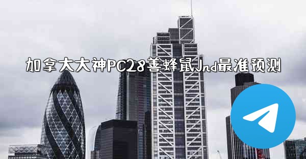 加拿大大神PC28善蜂鼠Jnd最准预测