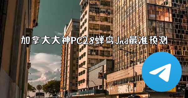 加拿大大神PC28蝉鸟Jnd最准预测