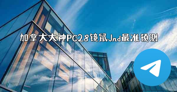 加拿大大神PC28镜鼠Jnd最准预测