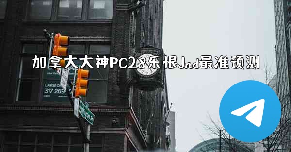加拿大大神PC28乐恨Jnd最准预测