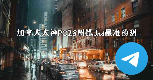 加拿大大神PC28树鼠Jnd最准预测