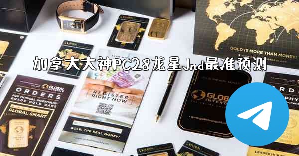 加拿大大神PC28龙星Jnd最准预测