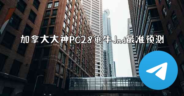 加拿大大神PC28龟牛Jnd最准预测